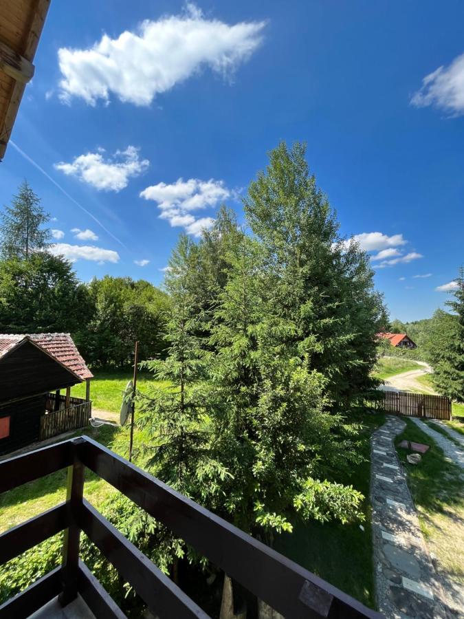 Cabana Din Padure Hotel Felsőporumbák Kültér fotó
