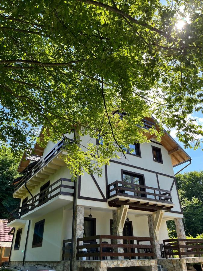 Cabana Din Padure Hotel Felsőporumbák Kültér fotó